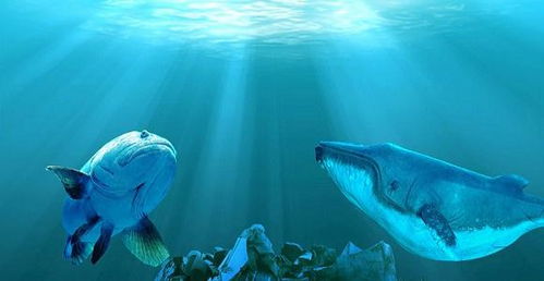 科学 深海 垃圾带 每平方米就有190万个微塑料,主要集中在600 900米深处