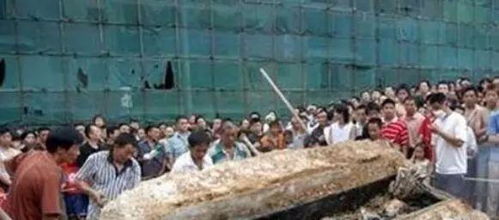 2005年四川南充古尸事件 一出墓就被烧了 或涉生物机密