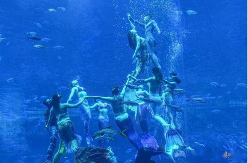 最大规模的水下人鱼秀 吉尼斯世界纪录诞生