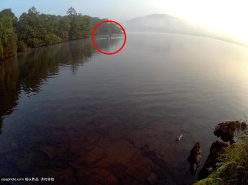 英摄影师疑似拍到水怪 距尼斯湖仅241公里 