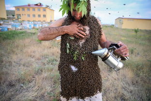 创纪录 土耳其男子成功将10公斤蜜蜂引自己身上 