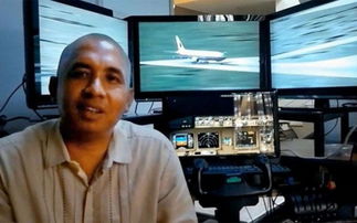 谋杀论 新证据 调查显示 MH370 无人控制急速撞向海面