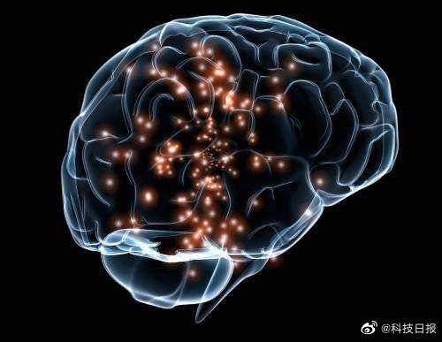 1000年后人类是什么样子的?未来人类明迪的3D模型大脑变小(1000年后人类会进化成什么样子)