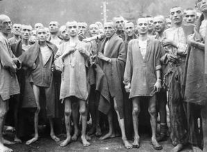 希特勒屠杀犹太人,被关进集中营,送到毒气室(希特勒灭绝犹太人的原因)