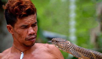 印尼一小哥养了两条眼镜王蛇作为宠物,背后的故事让人震撼