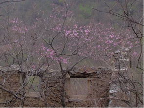 地名探轶 探秘 中国第一鬼村 ,里面究竟住着什么鬼