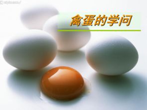 鸡蛋在营养上有区别吗?