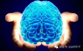 心理学冷知识25:大脑在夜间巩固和联想信息(心理学冷知识洞察人心)