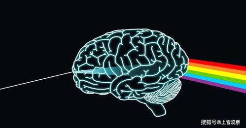 人类是否有能力将大脑完全开发 研究发现人类可能承受不住
