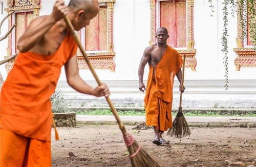 泰国最强 扫地僧 播求, 本是一代泰国拳王, 却连番两次剃度成僧 