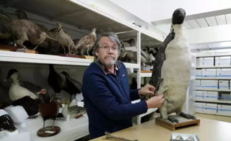6000万年前新西兰发现企鹅化石 高1(6000万年前是什么时代)