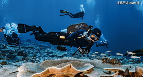 美国网络名人阿罗哈Rich Aloha潜水发现GoPro摄影
