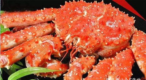 世界十大名贵海鲜排名 澳洲帝王蟹仅排第二