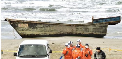 日本海岸现幽灵船为什么会有尸体 