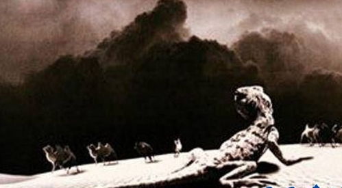 1978年罗布泊食人蜥蜴事件 罗布泊核试验炸死千条食人蜥蜴