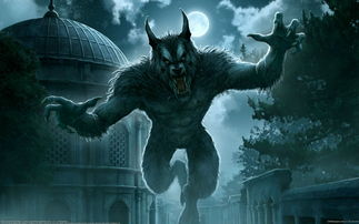 西方神话中关于狼人的传说 
