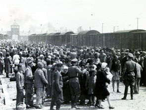 纳粹犹太人集中在德国 二战纳粹血腥屠杀(纳粹和犹太人的关系)