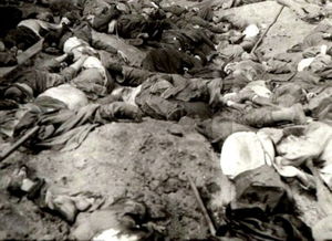 乌克兰纳粹大屠杀照片曝光 数千个万人坑惨绝人寰 高清组图 