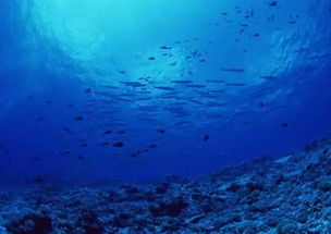 一张海洋深度超长图 深海一万米长图(海洋深度超长图一张)