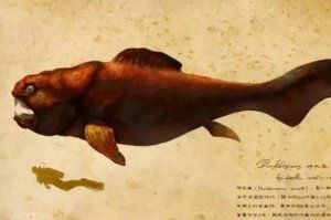 十大最稀有的鱼类盘点,中国特有上榜多个,第一在地球生活超过6万年