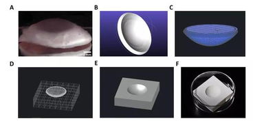 这款震惊世界的首例3D打印人工角膜到底是怎么做出来的