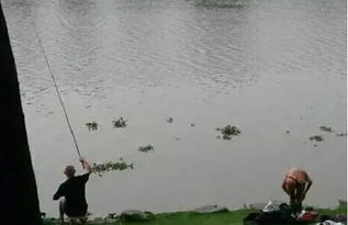 23岁男子漂浮到河岸边 叔叔平静地钓鱼