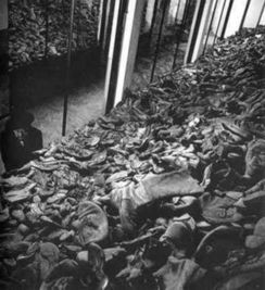 奥斯维辛集中营中的女人和孩子 