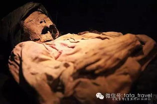 墨西哥 世界上最恐怖的人尸博物馆
