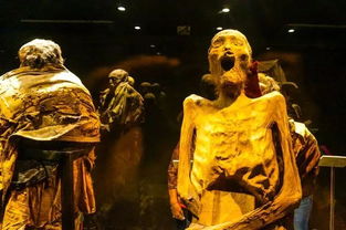 瓜纳华托着名的干尸博物馆 对生命的敬畏 