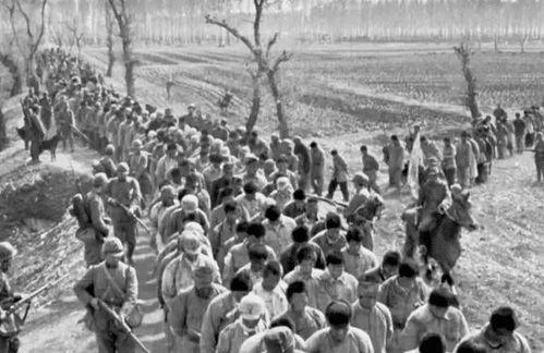 历史上四万中国人 移民 日本,却神秘失踪,多年后真相才得以曝光