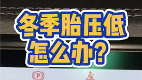 青海 神山 60米怪坡 轮胎自动往上滚 专家道破真相 视频