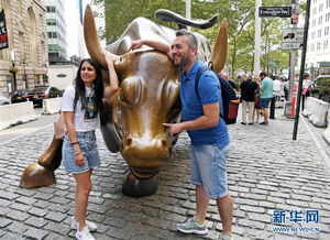 纽约著名地标#华尔街铜牛被砸#,吸引更多游客合影(纽约地标大厦)