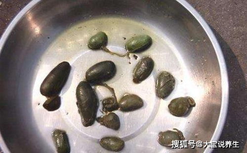 小伙头疼,一查脑子被虫吃了 他爱吃的1种 补品 ,你别再吃了