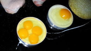 澳大利亚母鸡产下四个蛋黄的鸡蛋 机率110亿分之一 