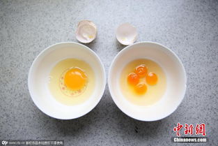 西安市民遇到 四黄蛋 形成概率110亿分之一 