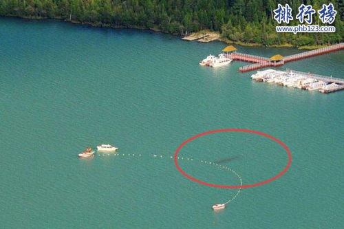 新疆喀纳斯湖水怪之谜真相大白,疑似15米32吨的巨型哲罗鲑 视频