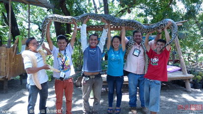 250公斤巨蟒压身 菲律宾推出蟒蛇按摩服务 