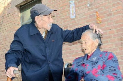 日本百岁老人长寿成为秘密,或与这些生活习惯有关,不妨了解下