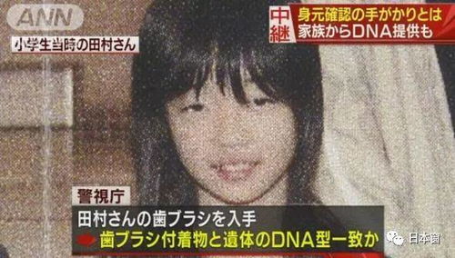 日本9头分尸惨案受害者全部确认,最小仅为15岁女孩 