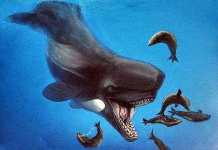 龙王鲸能咬断鲸鱼的凶残动物(巨齿鲨咬断龙王鲸)