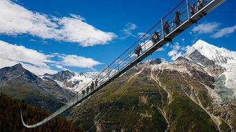 世界上最长的人行吊桥有多少米(世界上最长的人行悬索桥)
