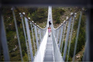 走上世界最长的吊桥,阿尔卑斯山尽收眼底 