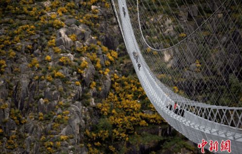 世界上最长的人行吊桥有多少米(世界上最长的人行天桥)