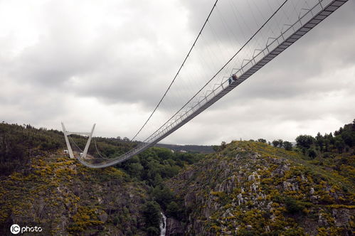 一眼望不到头 世界最长人行悬索桥开放 