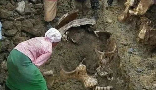 考古界不敢公开的秘密 巨人尸骨的遗骸是真是假 受达尔文退化论(考古界不敢公开的秘密知乎)