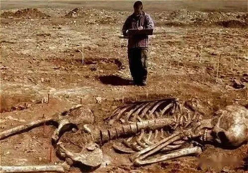 考古界不敢公开的秘密 考古发现5米巨人遗骸吓坏世人