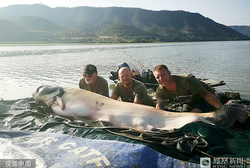 钓鱼爱好者捕获巨型鲶鱼 重达200斤