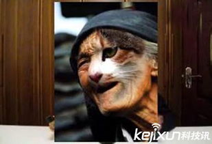 中国七百年来最诡异事件 猫脸老太太咬人被击毙