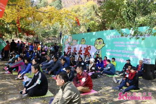 黄金雨 中静坐比 呆 泰山第二届发呆大赛落幕 