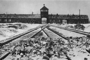 德9旬男子涉嫌参与奥斯维辛集中营大屠杀遭起诉 